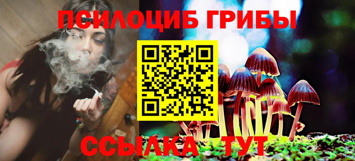 Новоалександровск  купить  сайты  Вход с VPN  Псилоцибиновые грибы GOLDEN TEACHER 